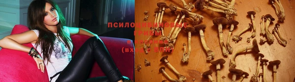 молекула духа Киреевск