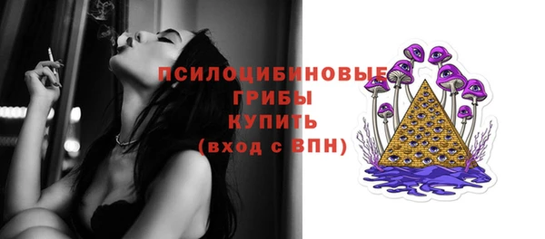 ГАЛЛЮЦИНОГЕННЫЕ ГРИБЫ Козельск