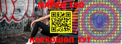 гидра Новодвинск