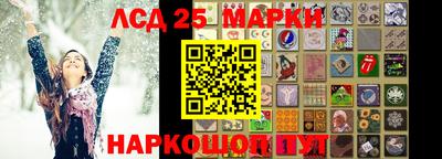 гидра Новодвинск