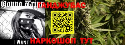 гидра Новодвинск