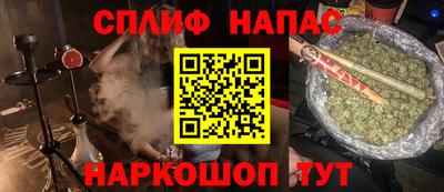 гидра Новодвинск