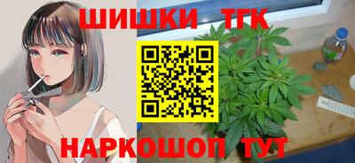 гидра Новодвинск