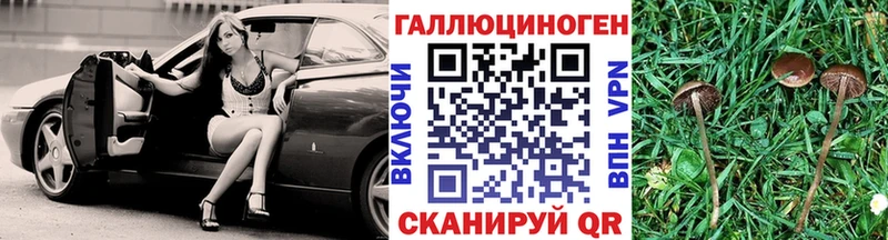 Галлюциногенные грибы Magic Shrooms Челябинск