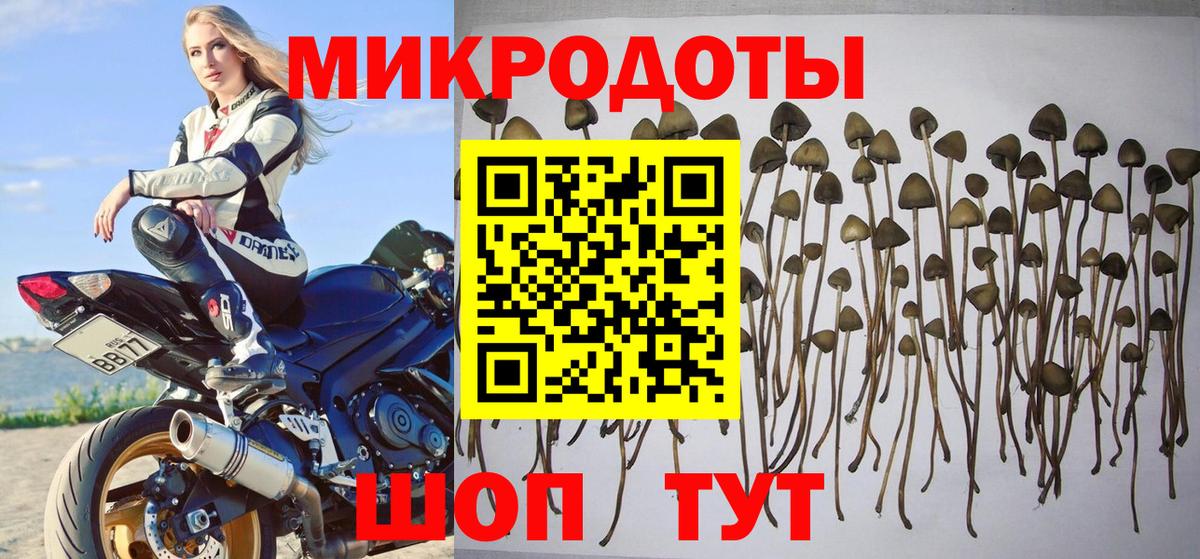 Галлюциногенные грибы мицелий  Псилоцибиновые грибы мухоморы  Вход с VPN  даркнет сайт  Челябинск 